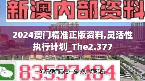 2024澳门精准正版资料,灵活性执行计划_The2.377
