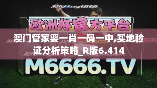 澳门管家婆一肖一码一中,实地验证分析策略_R版6.414