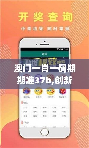 澳门一肖一码期期准37b,创新性计划解析_7DM19.204