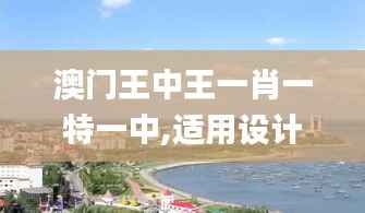 澳门王中王一肖一特一中,适用设计解析_扩展版1.799