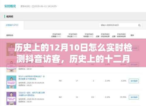 揭秘抖音访客实时检测背后的故事与影响,历史上的十二月十日如何实时追踪抖音访客动态