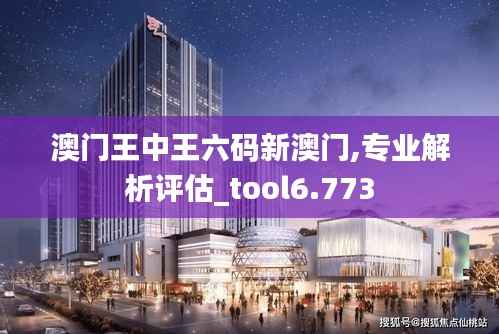 澳门王中王六码新澳门,专业解析评估_tool6.773