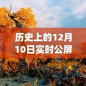 透过直播镜头看历史变迁,十二月十日公屏评论回顾与解读