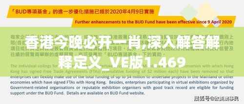 香港今晚必开一肖,深入解答解释定义_VE版1.469