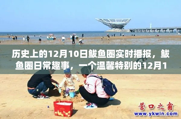 温馨特别的鲅鱼圈日常趣事,历史上的十二月十日播报