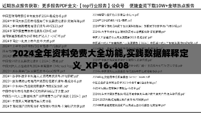 2024全年资料免费大全功能,实践数据解释定义_XP16.408