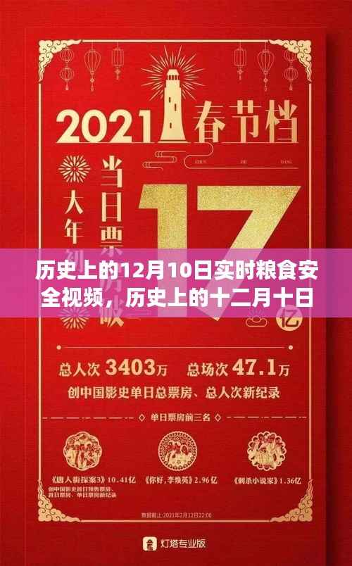 历史上的十二月十日,实时粮食安全视频背后的深远影响探索