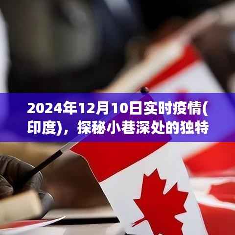 印度疫情下的独特小店,小巷深处的避风港,实时疫情探秘