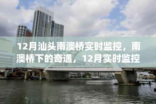 南澳桥奇遇与友情交织,汕头南澳桥下的温暖与实时观察
