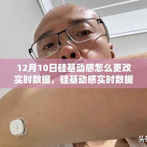 硅基动感实时数据调整指南,12月10日操作详解与实时数据更改教程