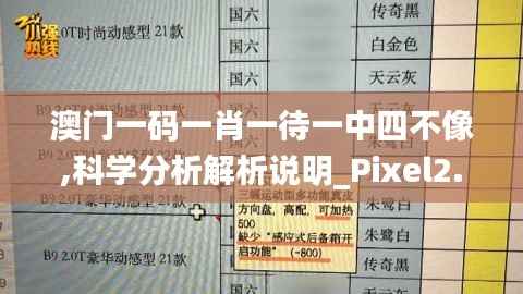澳门一码一肖一待一中四不像,科学分析解析说明_Pixel2.434