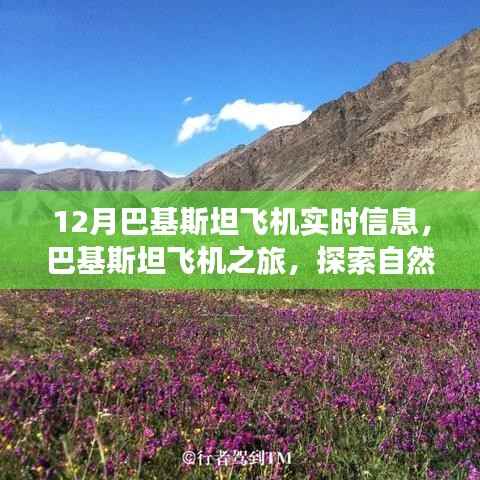 巴基斯坦飞机之旅,探索自然美景,寻找内心的宁静——十二月实时信息指南