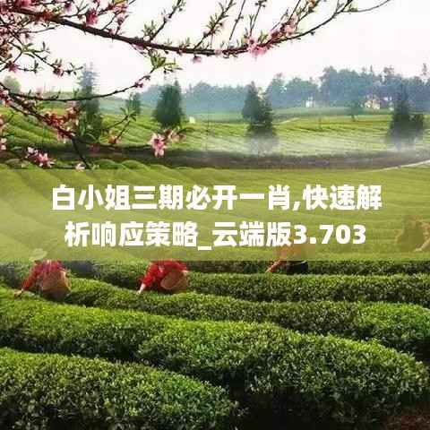 白小姐三期必开一肖,快速解析响应策略_云端版3.703