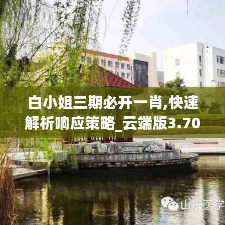 白小姐三期必开一肖,快速解析响应策略_云端版3.703