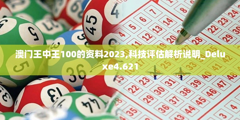 澳门王中王100的资料2023,科技评估解析说明_Deluxe4.621