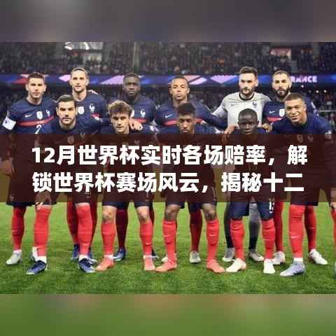 揭秘世界杯赛场风云，十二月实时赔率动态全解析