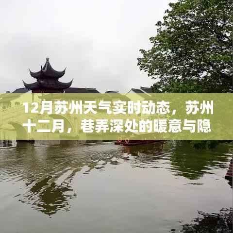 苏州十二月天气实时动态与巷弄深处的暖意及特色小店探索