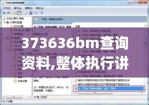 373636bm查询资料,整体执行讲解_DX版17.227