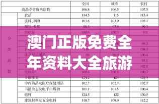 澳门正版免费全年资料大全旅游团,理论分析解析说明_模拟版5.257