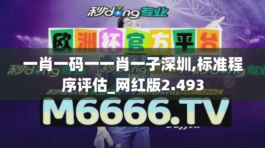 一肖一码一一肖一子深圳,标准程序评估_网红版2.493