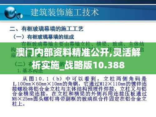 澳门内部资料精准公开,灵活解析实施_战略版10.388