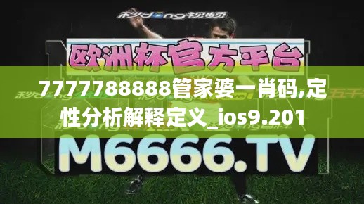 7777788888管家婆一肖码,定性分析解释定义_ios9.201