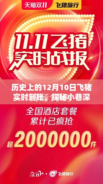 探秘飞猪店,历史上的幸运到账时刻揭秘,神秘飞猪实时到账日回顾