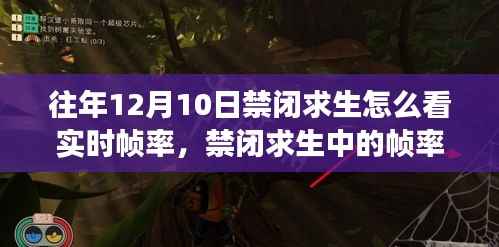 禁闭求生帧率奇缘,温馨游戏时光与实时帧率解析