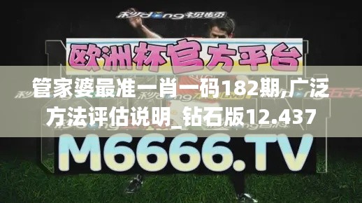 管家婆最准一肖一码182期,广泛方法评估说明_钻石版12.437