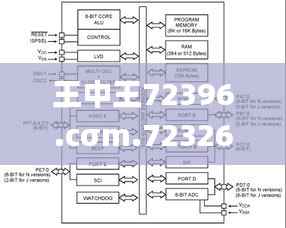 王中王72396.cσm.72326查询精选16码一,持久性计划实施_安卓8.236