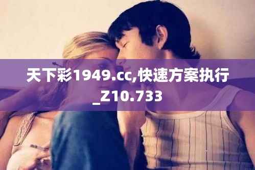 天下彩1949.cc,快速方案执行_Z10.733