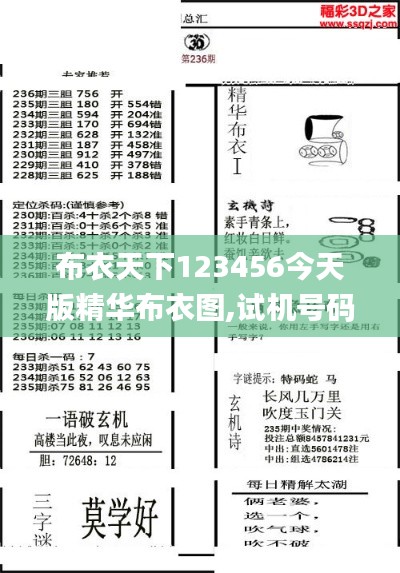 布衣天下123456今天版精华布衣图,试机号码,确保问题说明_RX版7.205