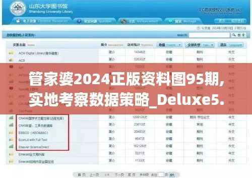 管家婆2024正版资料图95期,实地考察数据策略_Deluxe5.958