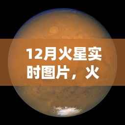 最新火星探测器图片体验报告,科技与生活的融合——火星实时观测与图片分享