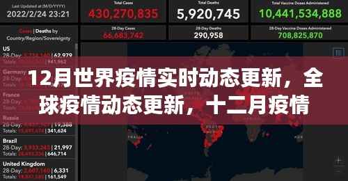 全球疫情动态更新,十二月下的世界面貌与影响洞察