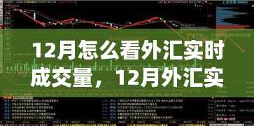 全面深度解析,12月外汇实时成交量观察与评测指南