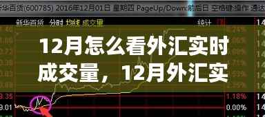 全面深度解析,12月外汇实时成交量观察与评测指南