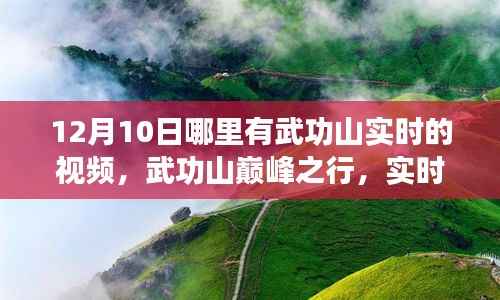 正声雅音 第2页