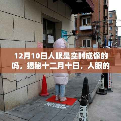 揭秘十二月十日,人眼的实时成像奥秘