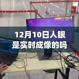揭秘十二月十日,人眼的实时成像奥秘