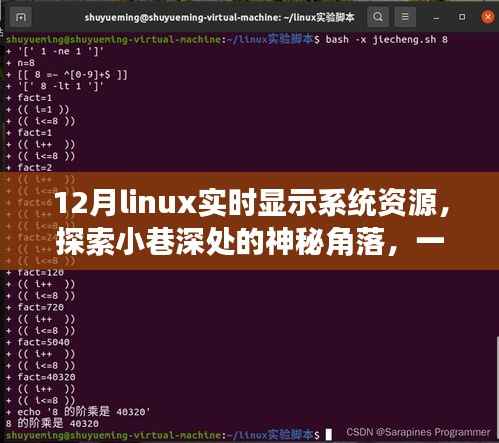 探索Linux资源实时显示特色小店，十二月系统资源监控与小巷深处的神秘角落