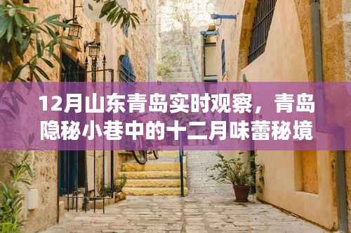 青岛隐秘小巷的十二月味蕾秘境,特色小店的实时观察之旅