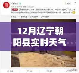 朝阳县冬日暖阳下的奇遇与实时天气探索