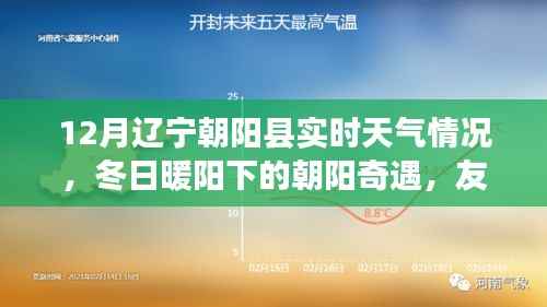 朝阳县冬日暖阳下的奇遇与实时天气探索