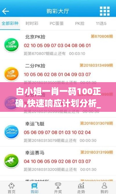 白小姐一肖一码100正确,快速响应计划分析_领航款9.855