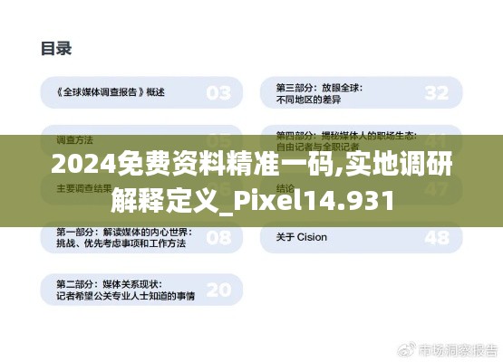2024免费资料精准一码,实地调研解释定义_Pixel14.931