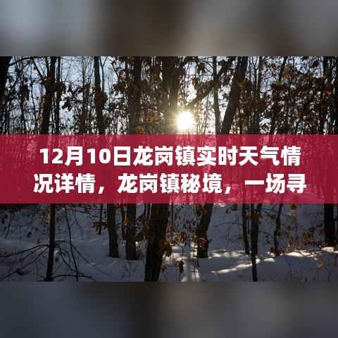 龙岗秘境,冬日旅行记与实时天气探索