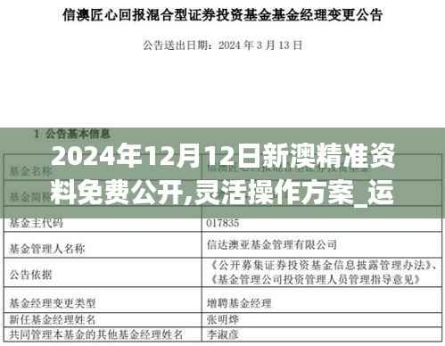 2024年12月12日新澳精准资料免费公开,灵活操作方案_运动版10.420