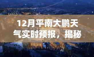 平南大鹏12月天气预报与小巷深处的特色小店探索