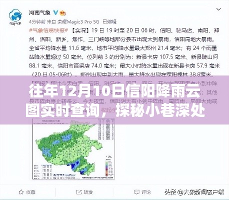 信阳降雨云图下的奇遇记,雨巷深处的秘境与特色小店探索之旅